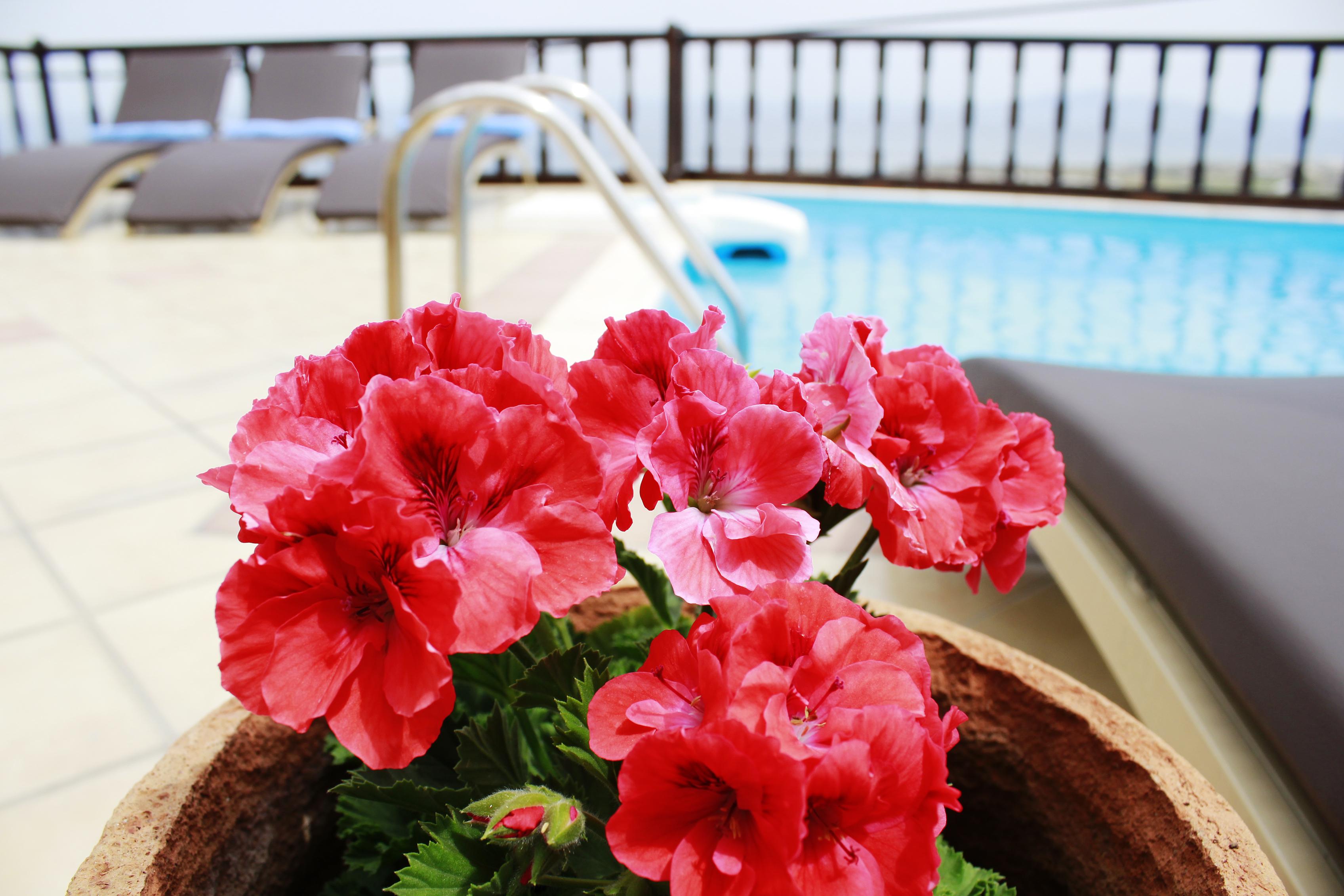 Amerisa Suites & Villa Fira  Eksteriør billede